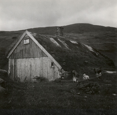 DNT-118906.jpg