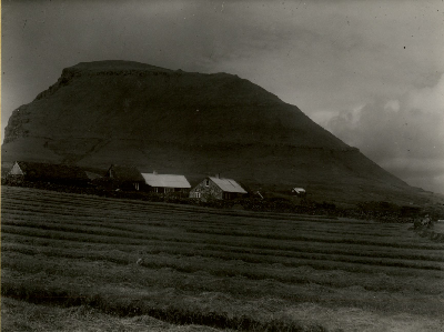 DNT-118580.jpg