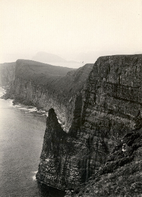 DNT-118767.jpg