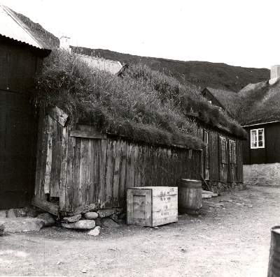 DNT-119025.jpg