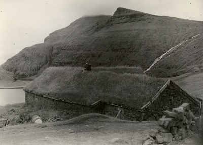 DNT-119021.jpg