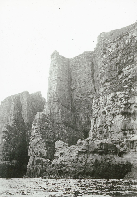 DNT-120321.jpg