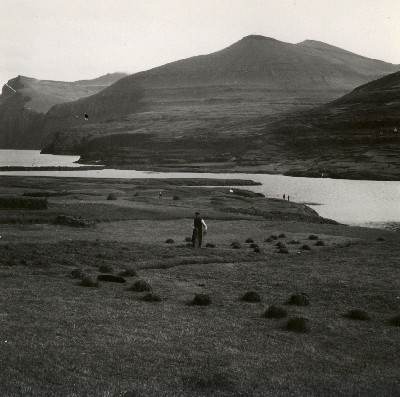 DNT-119006.jpg
