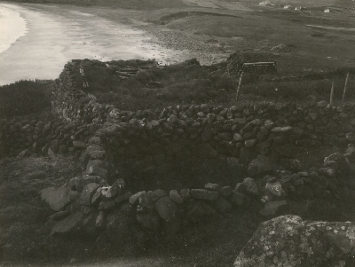 DNT-118981.jpg