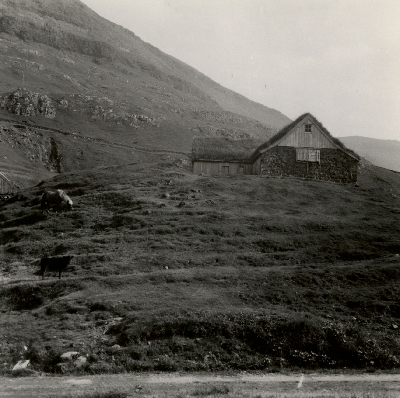 DNT-119054.jpg