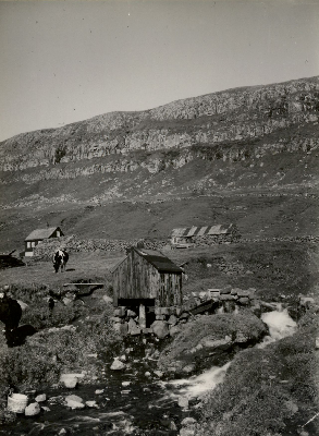 DNT-118998.jpg