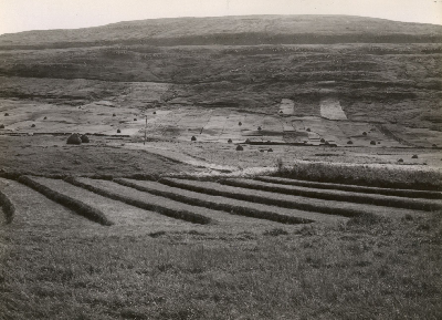 DNT-119012.jpg