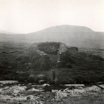 DNT-119005.jpg