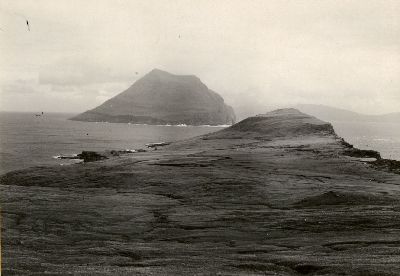 DNT-118990.jpg