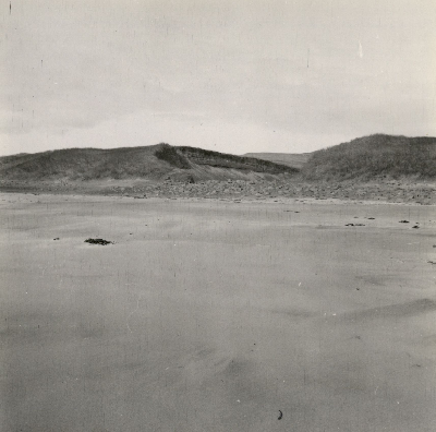 DNT-118955.jpg
