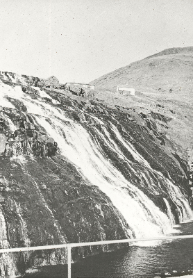 DNT-538390.jpg